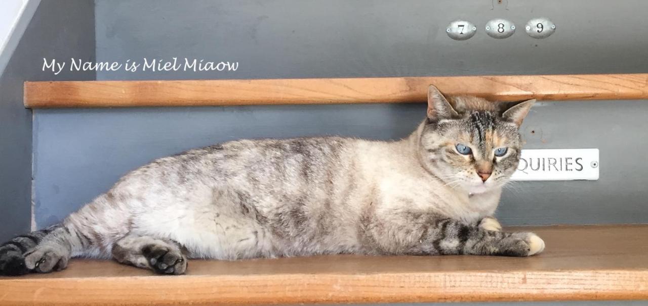 ホテル Maison Murier Fayssac エクステリア 写真